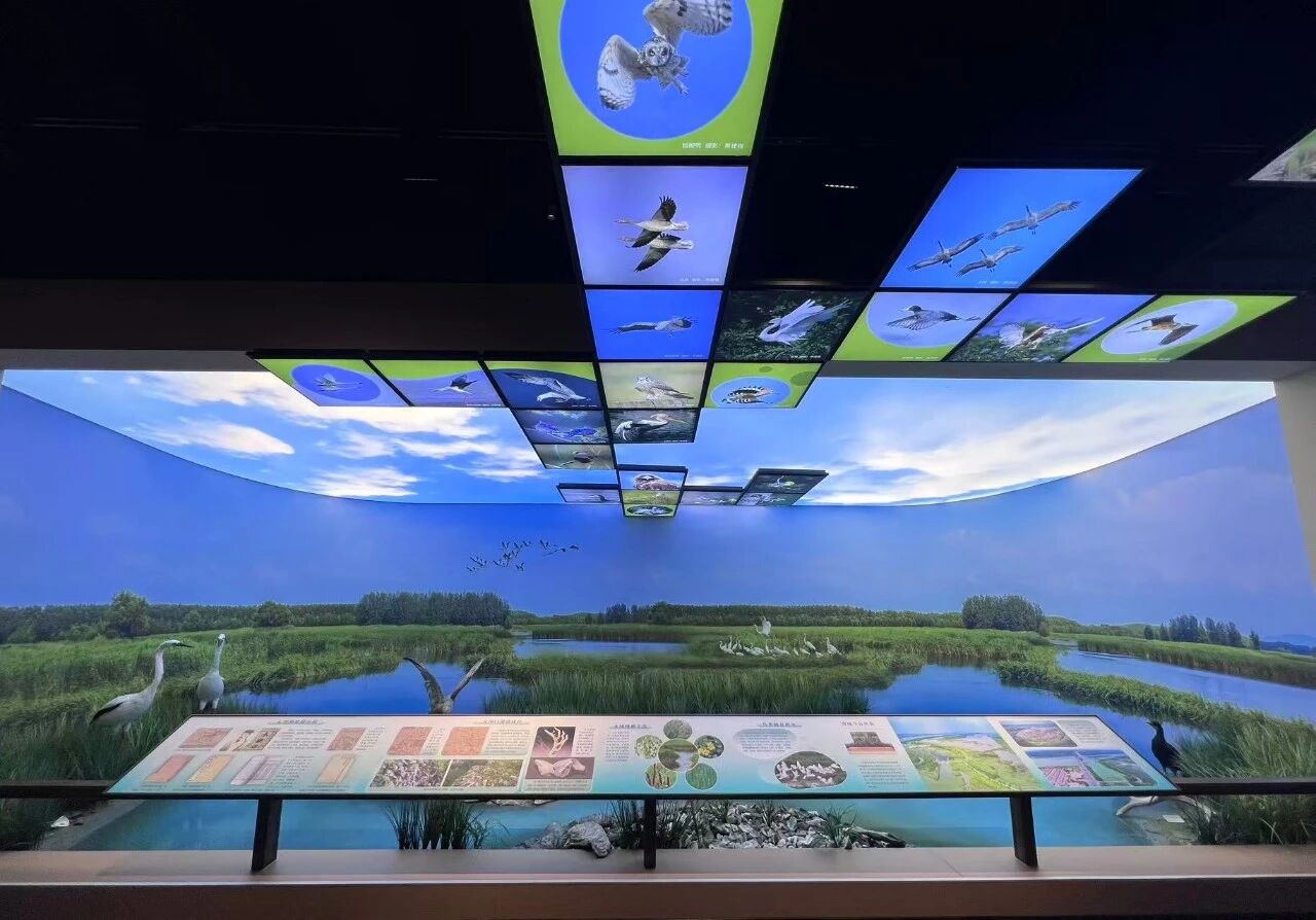 World City Prize Favors Capital Metropolitan Area | ICS Surveys Beijing-Tianjin "Eco+" Cit